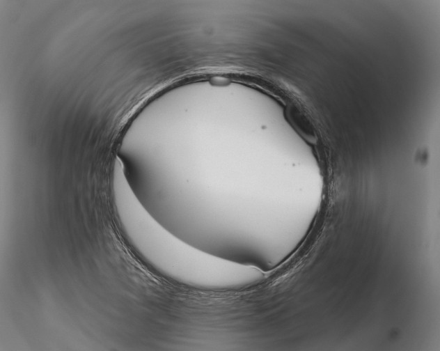 X0000115711361200912031519