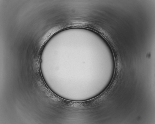 X0000115711362200912031519