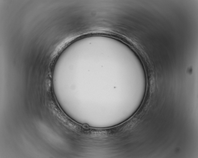 X0000115711363200912031519