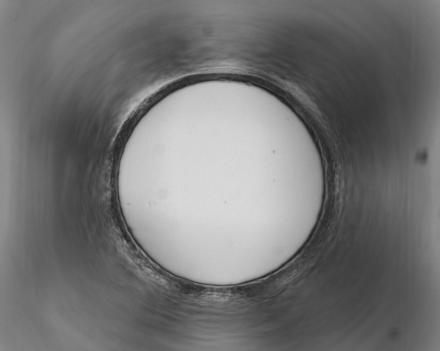 X0000115711364200912031519