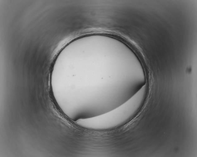 X0000115711365200912031519