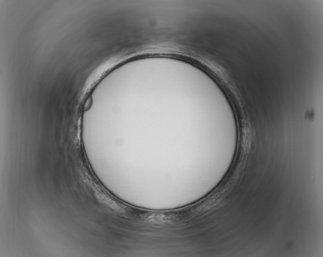 X0000115711366200912031519