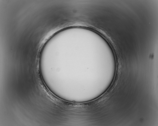 X0000115711367200912031519