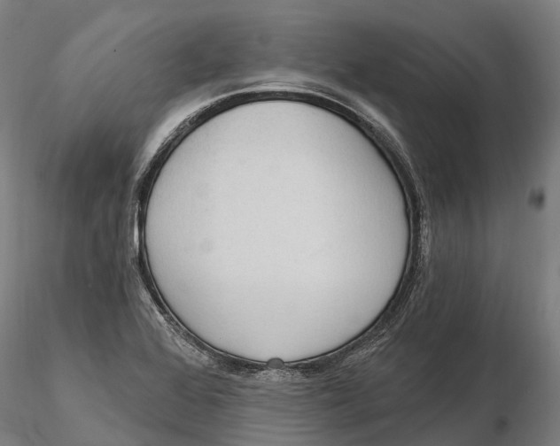 X0000115711368200912031519