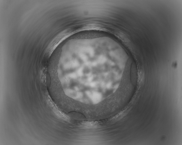 X0000115711369200912031519