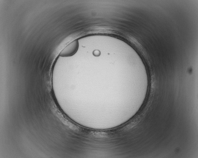 X0000115711370200912031519