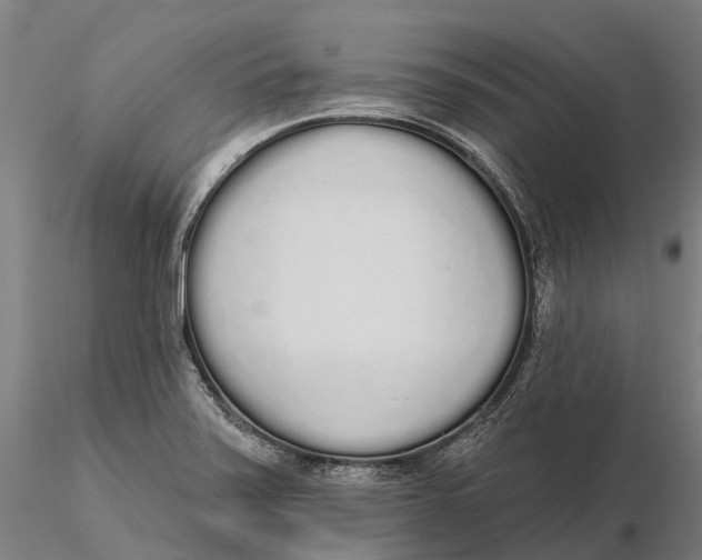 X0000115711371200912031519