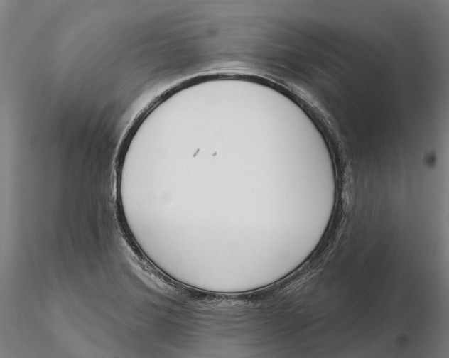 X0000115711372200912031519