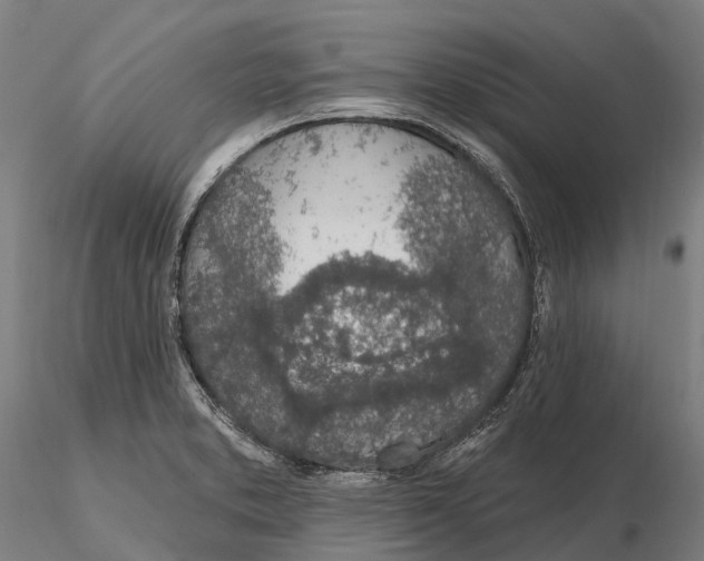 X0000115711373200912031519