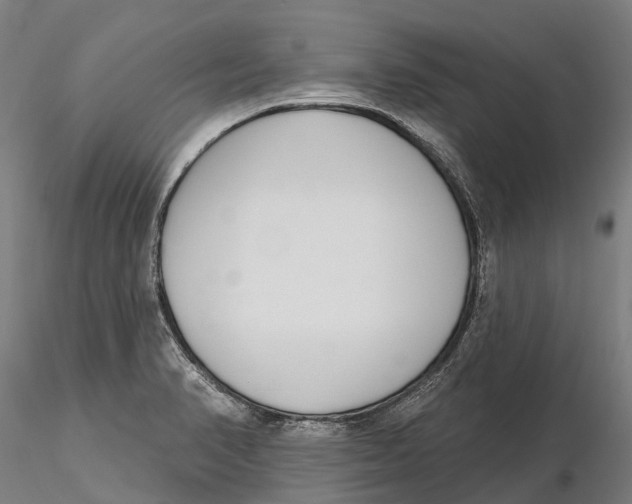 X0000115711374200912031519