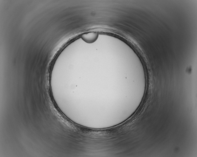 X0000115711376200912031518