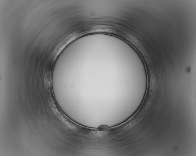 X0000115711377200912031518