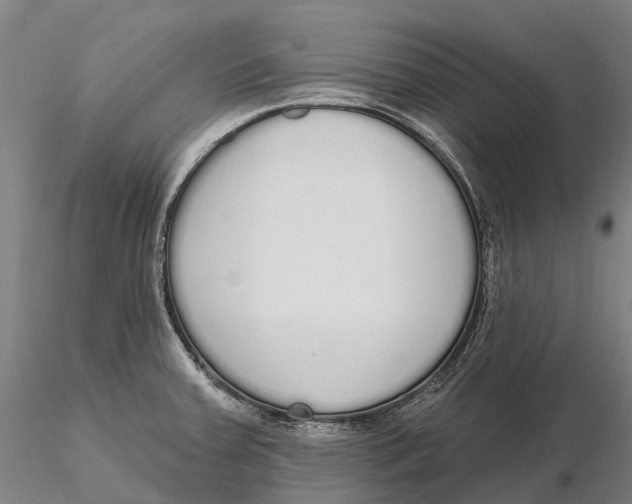 X0000115711379200912031518