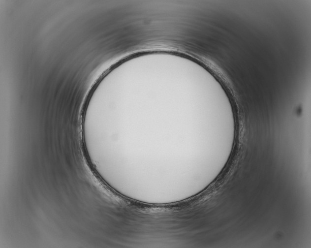 X0000115711380200912031518