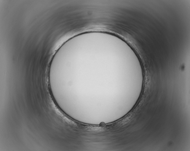 X0000115711382200912031518