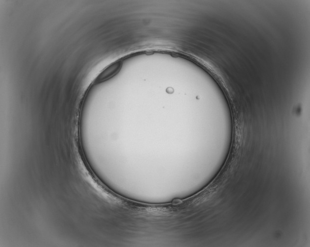 X0000115711383200912031518