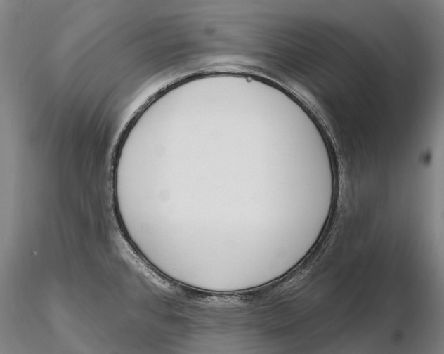 X0000115711384200912031518