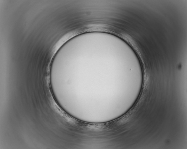 X0000115711386200912031518