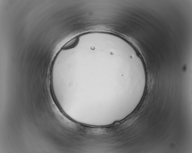 X0000115711387200912031518