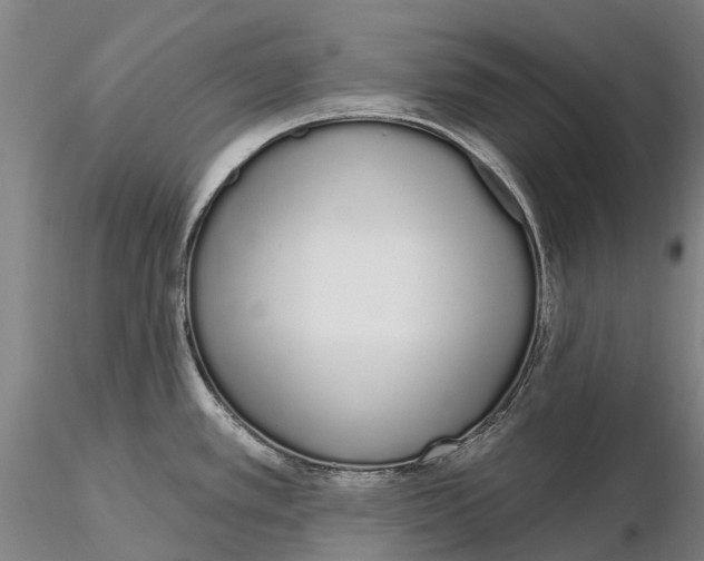 X0000115711389200912031518