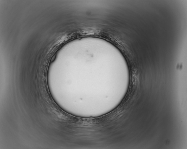 X0000115711393200912031517