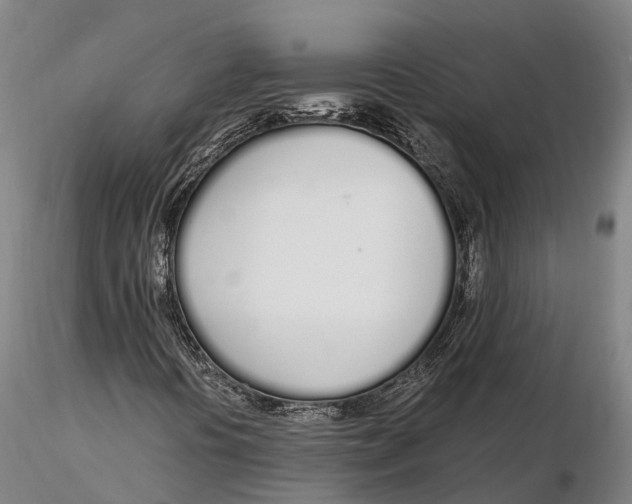 X0000115711394200912031517