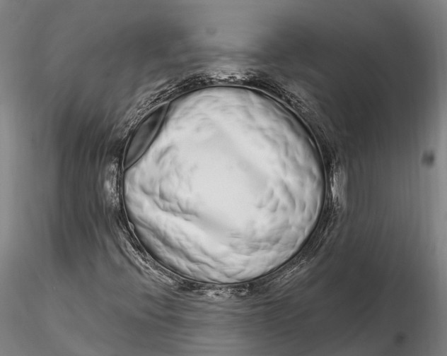 X0000115711396200912031517