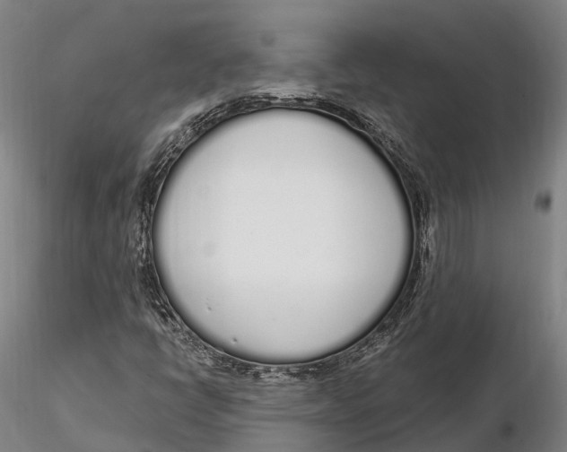 X0000115711398200912031517