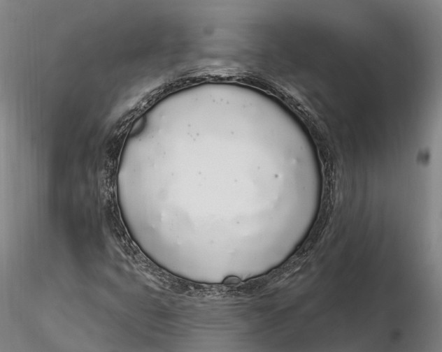 X0000115711399200912031518