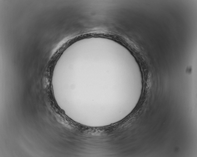 X0000115711400200912031518