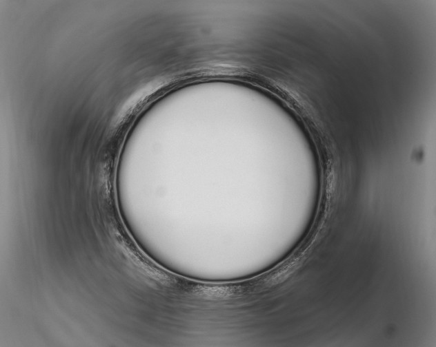 X0000115711402200912031518