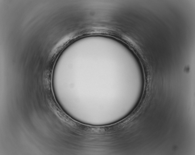 X0000115711403200912031518