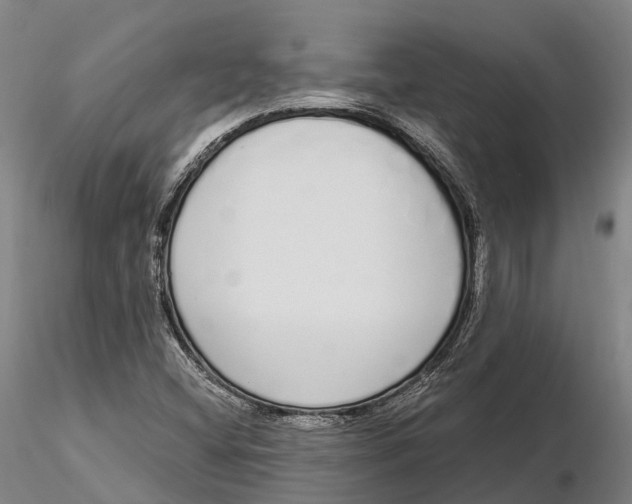 X0000115711404200912031518