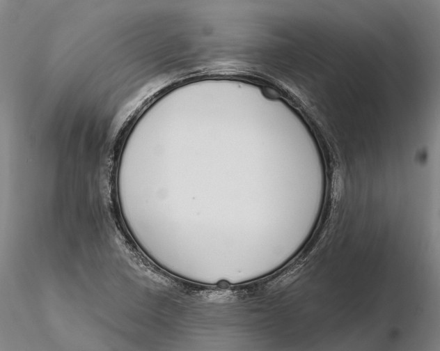 X0000115711410200912031518