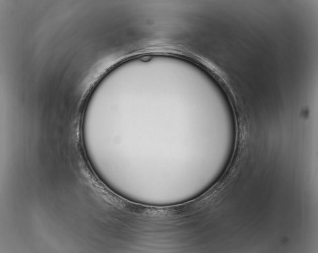 X0000115711415200912031518