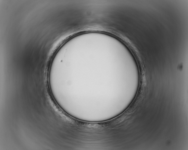 X0000115711416200912031518