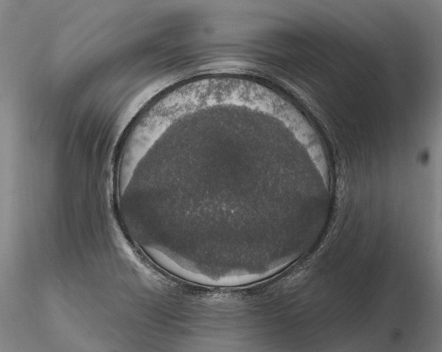 X0000115711418200912031518