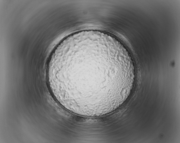 X0000115711419200912031518