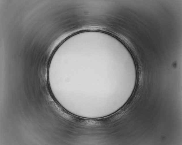 X0000115711420200912031518