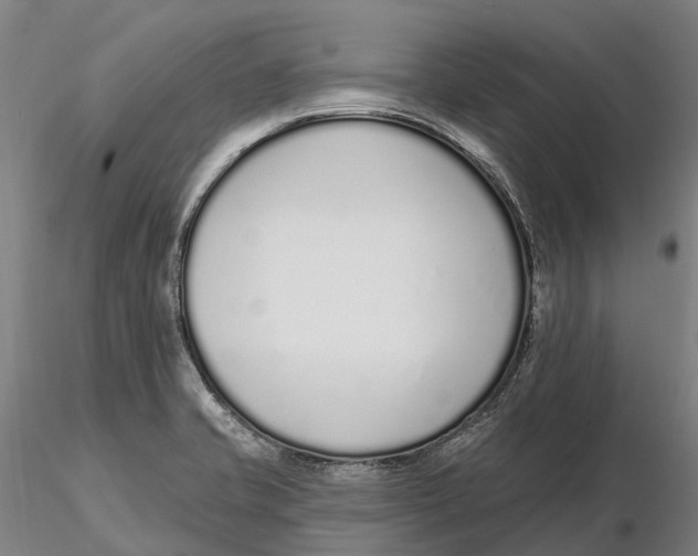 X0000115711421200912031518