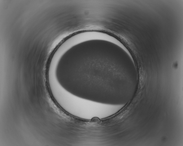 X0000115711422200912031518