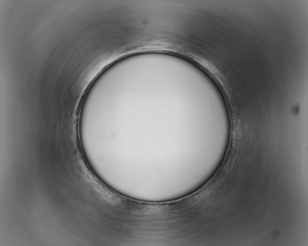 X0000115711423200912031518