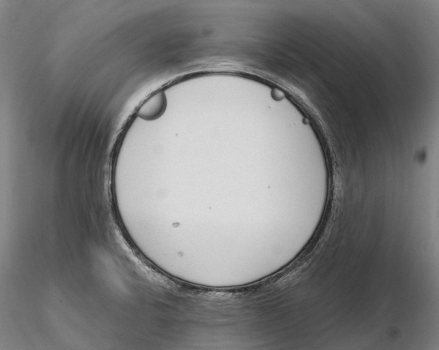 X0000115711424200912031518