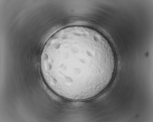 X0000115711425200912031518