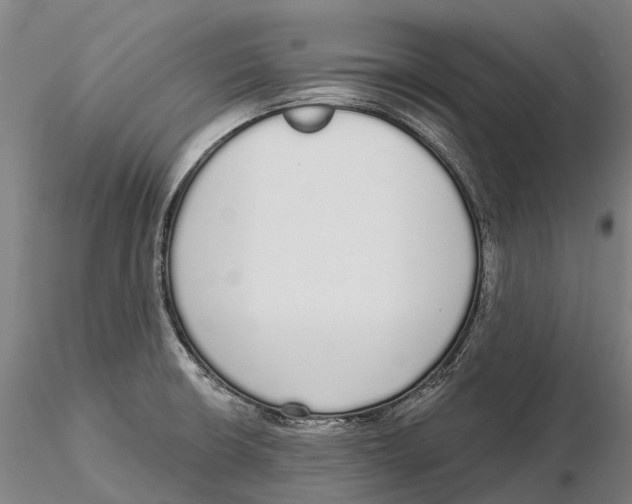 X0000115711426200912031518