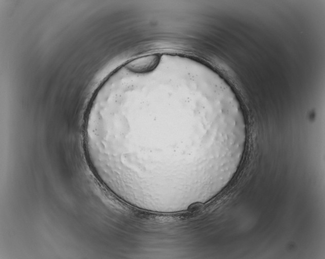 X0000115711427200912031518