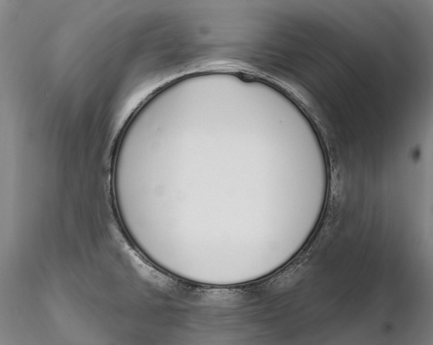 X0000115711430200912031518