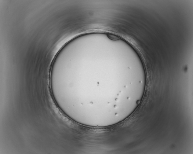 X0000115711431200912031518