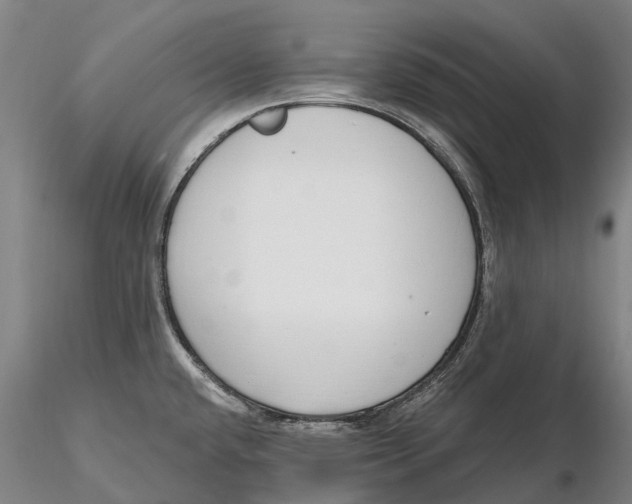 X0000115711432200912031518