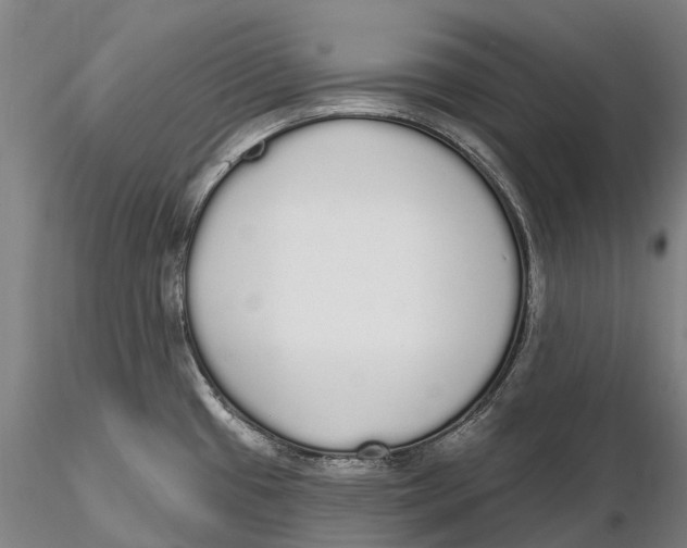 X0000115711433200912031518